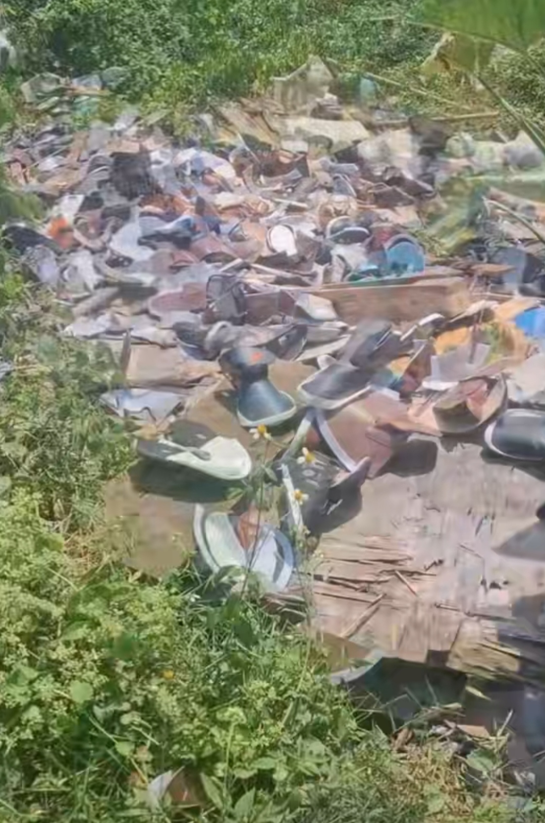 Aktivis Lingkungan Minta DLHK Kabupaten Bogor Gandeng KDM, Sidak PT YOUNDAN JAYA Diduga Buang Limbah Sembarangan, Dok, Foto: WartaOne24.com