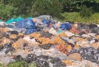 PT YOUNGDAN JAYA Tenjo Singabangsa Diduga Buang Limbah Sepatu Sembarangan, Aktivis: Segera Cabut izin Pabrik Yang Melanggar 